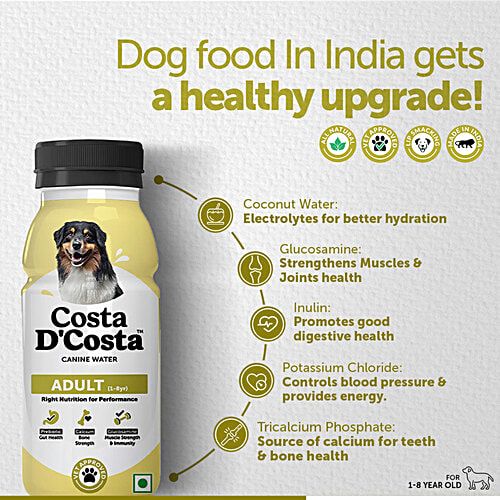 Costa D'Costa  Canine Water For Dogs - 1 To 8 Years, 250 ml  Nutrient-Infused Liquid For Dogs, Gut Health, Bone Strength, Muscle Strength & Immunity, Human Graded
