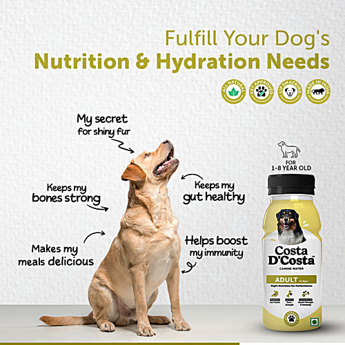 Costa D'Costa  Canine Water For Dogs - 1 To 8 Years, 250 ml  Nutrient-Infused Liquid For Dogs, Gut Health, Bone Strength, Muscle Strength & Immunity, Human Graded