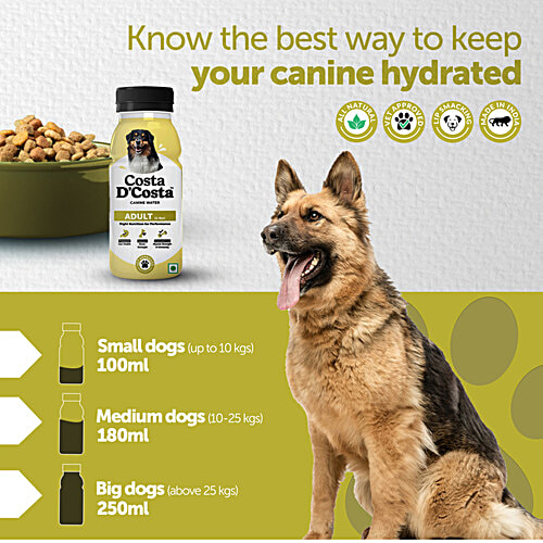Costa D'Costa  Canine Water For Dogs - 1 To 8 Years, 250 ml  Nutrient-Infused Liquid For Dogs, Gut Health, Bone Strength, Muscle Strength & Immunity, Human Graded