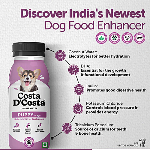 Costa D'Costa  Canine Water For Dogs - 0 To 1 Year, 250 ml (Pack of 3) Boosts Puppy Growth
Improves Hydration
Enhances Bone Strength