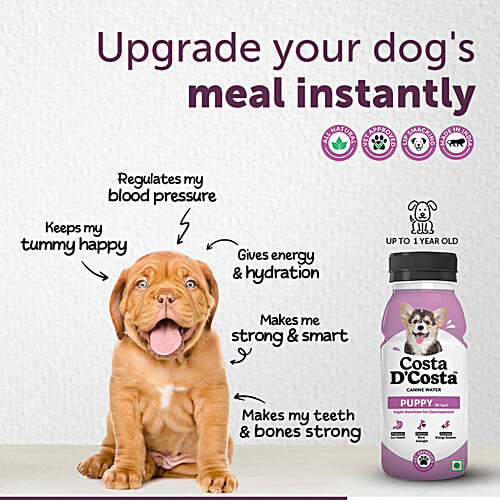 Costa D'Costa  Canine Water For Dogs - 0 To 1 Year, 250 ml (Pack of 3) Boosts Puppy Growth
Improves Hydration
Enhances Bone Strength