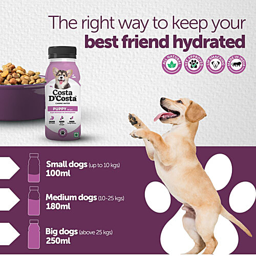 Costa D'Costa  Canine Water For Dogs - 0 To 1 Year, 250 ml (Pack of 3) Boosts Puppy Growth
Improves Hydration
Enhances Bone Strength