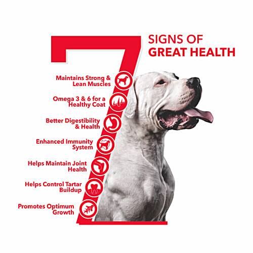 Active Dry Dog Food - With Chicken & Vegetables, Puppy, 3 kg (Buy 1 Get 1 Free)