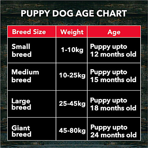 Active Dry Dog Food - With Chicken & Vegetables, Puppy, 3 kg (Buy 1 Get 1 Free)