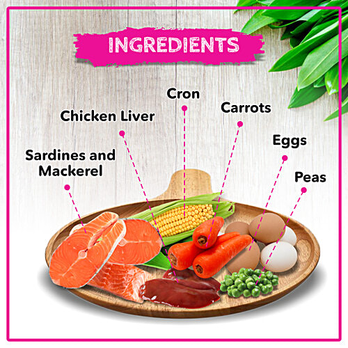 Active Dry Cat Food - With Ocean Fish, Adult, 3 kg (Buy 1 Get 1 Free) 