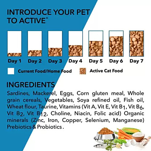 Active Dry Cat Food - With Ocean Fish, Adult, 3 kg (Buy 1 Get 1 Free) 