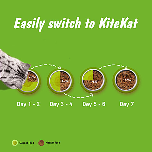 Kitekat Adult 1+ Years Dry Cat Food - Ocean Fish Flavour, 2.8 kg Pouch Complete and Balanced Nutrition