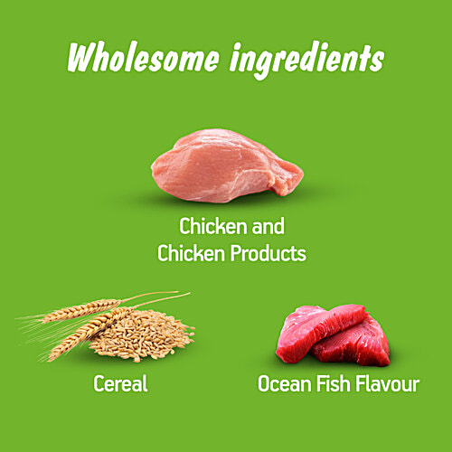 Kitekat Adult 1+ Years Dry Cat Food - Ocean Fish Flavour, 2.8 kg Pouch Complete and Balanced Nutrition