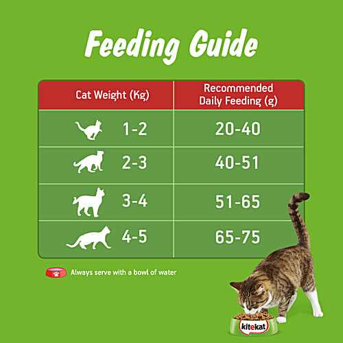 Kitekat Adult 1+ Years Dry Cat Food - Ocean Fish Flavour, 2.8 kg Pouch Complete and Balanced Nutrition