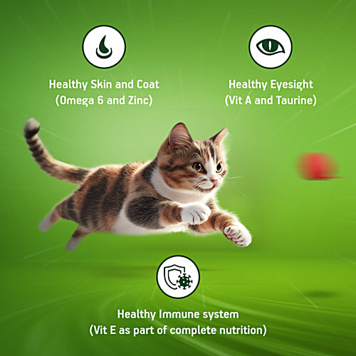 Kitekat Adult 1+ Years Dry Cat Food - Ocean Fish Flavour, 2.8 kg Pouch Complete and Balanced Nutrition