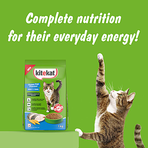 Kitekat Adult Dry Cat Food - Ocean Fish Flavour, 5.5 kg Pouch 