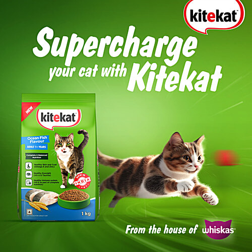 Kitekat Adult Dry Cat Food - Ocean Fish Flavour, 5.5 kg Pouch 