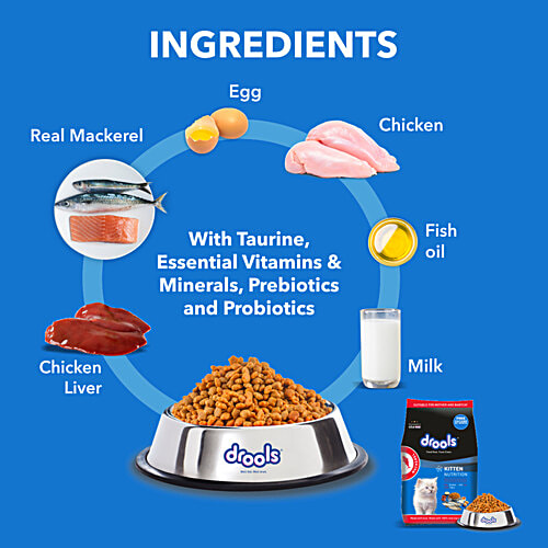 Drools Mackerel Kitten Dry Cat Food, 1 kg (Get Free Container)