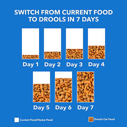 Drools Mackerel Kitten Dry Cat Food, 1 kg (Get Free Container)