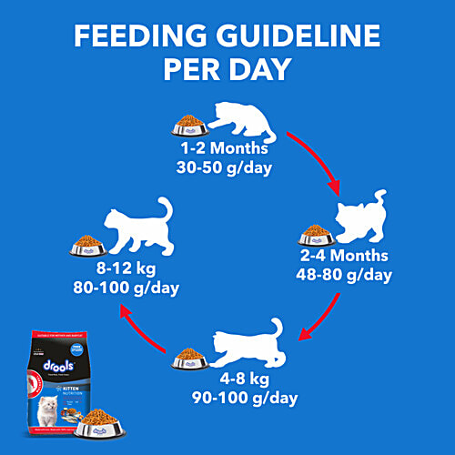 Drools Mackerel Kitten Dry Cat Food, 1 kg (Get Free Container)