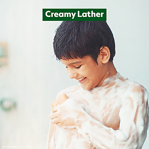 Dettol Original Bathing Soap Bar With 12 HR protective shield, 100 g  Germ Defence, Protects From 99.9% illness Causing Germs