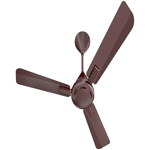 Havells 1200mm Ambrose ES Ceiling Fan - Cola Espresso Brown, 1 pc  Premium Finish, Deco. Fan, Elegant Looks, High Air Delivery, Energy Saving, 100% Pure Copper Motor, 2 Year Warranty by Brand