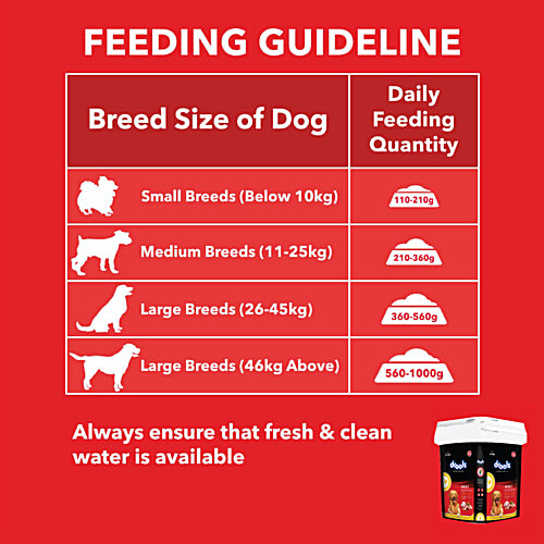 Drools Adult Dry Dog Food - Chicken & Egg, 5 kg Container Adult Nutrition, Made With Real Chicken