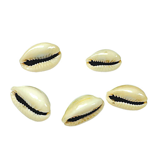 Mangal Bhavan Puja Kaudi Set, 5 Pcs