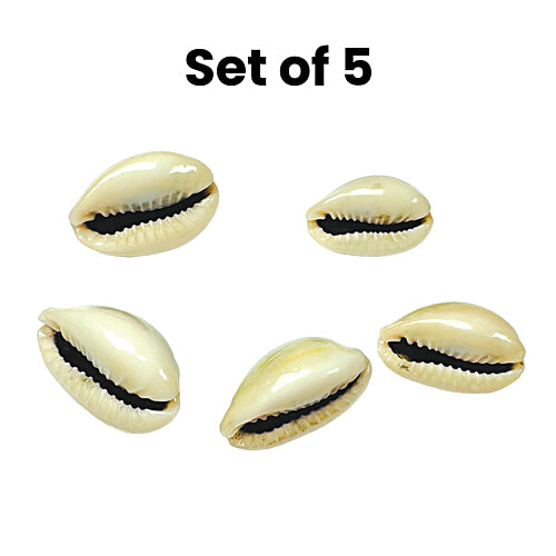 Mangal Bhavan Puja Kaudi Set, 5 Pcs