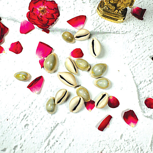 Mangal Bhavan Puja Kaudi Set, 5 Pcs