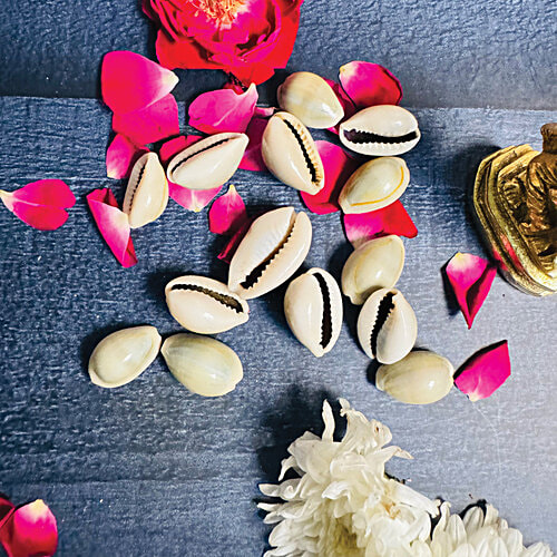 Mangal Bhavan Puja Kaudi Set, 5 Pcs