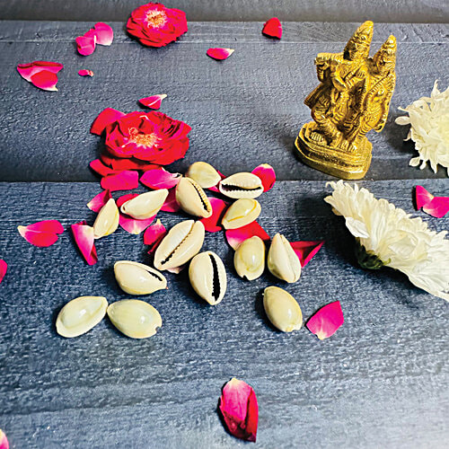 Mangal Bhavan Puja Kaudi Set, 5 Pcs