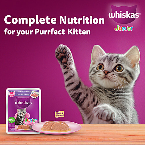 Whiskas Kitten 2-12 Months Wet Cat Food - Mackerel Flavour, 80 g Pouch Mackerel Flavour, 2-12 Months, 100% Complete & Balanced Nutrition