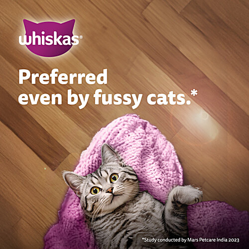 Whiskas Kitten 2-12 Months Wet Cat Food - Mackerel Flavour, 80 g Pouch Mackerel Flavour, 2-12 Months, 100% Complete & Balanced Nutrition