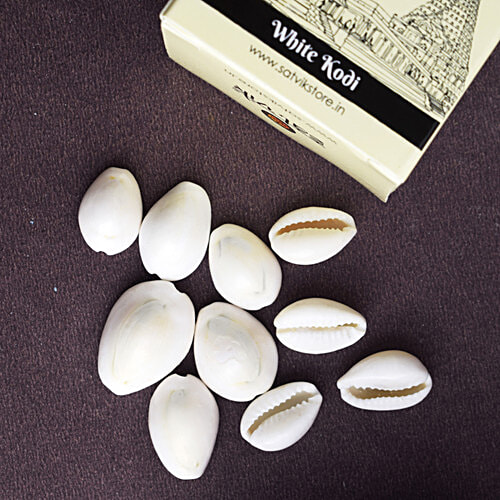 Satvik Satvik White Cowrie/Cowry/Kouri/Kaudi/Kori Seashell For Puja & Multi-Purpose Use, 11 pcs  