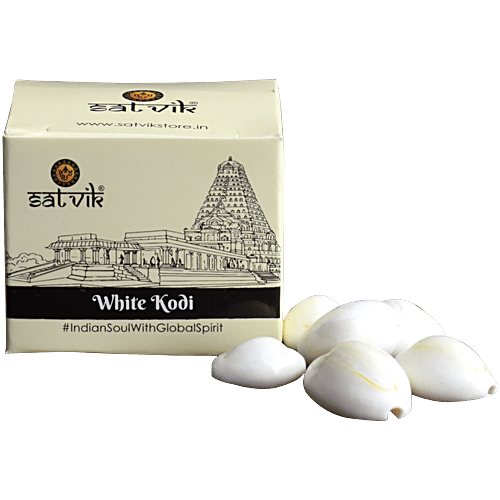 Satvik Satvik White Cowrie/Cowry/Kouri/Kaudi/Kori Seashell For Puja & Multi-Purpose Use, 11 pcs  