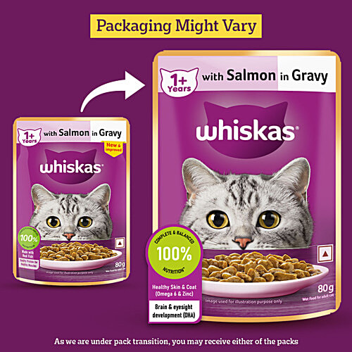 Whiskas Adult 1+ Year Wet Cat Food - Salmon In Gravy Flavour, 1.12 kg (14x80 g) Complete and Balanced Nutrition, Healthy Skin & Coat