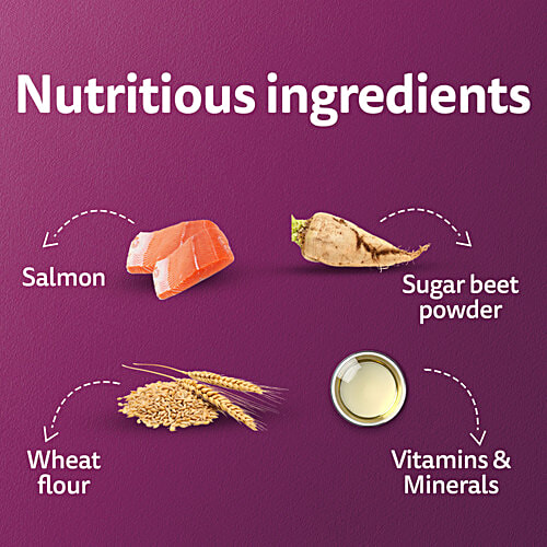 Whiskas Adult 1+ Year Wet Cat Food - Salmon In Gravy Flavour, 1.12 kg (14x80 g) Complete and Balanced Nutrition, Healthy Skin & Coat