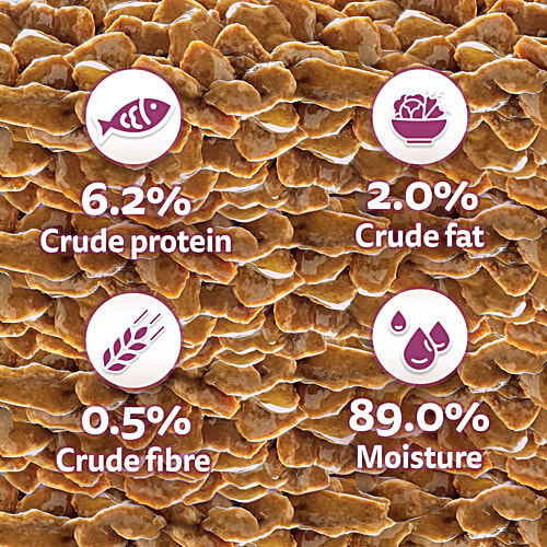 Whiskas Adult 1+ Year Wet Cat Food - Salmon In Gravy Flavour, 1.12 kg (14x80 g) Complete and Balanced Nutrition, Healthy Skin & Coat