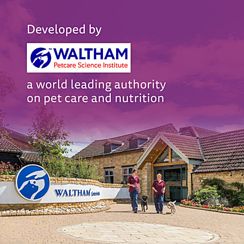 Whiskas Adult 1+ Year Wet Cat Food - Salmon In Gravy Flavour, 1.12 kg (14x80 g) Complete and Balanced Nutrition, Healthy Skin & Coat