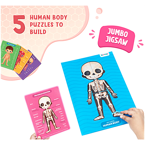 Bloomingo My Super Human Body Magnetic Puzzle & Trivia Cards, 1 pc  STEM Puzzles, Human body Basic Anatomy For Kids