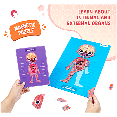 Bloomingo My Super Human Body Magnetic Puzzle & Trivia Cards, 1 pc  STEM Puzzles, Human body Basic Anatomy For Kids