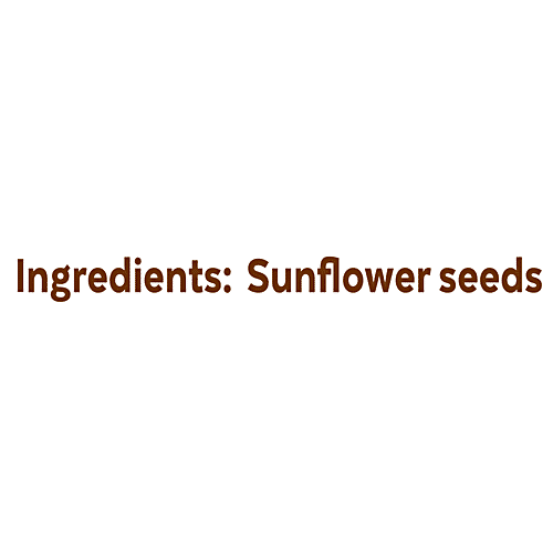 SnackAmor Sunflower Seeds, 100 g Healthy On-The-Go Snack