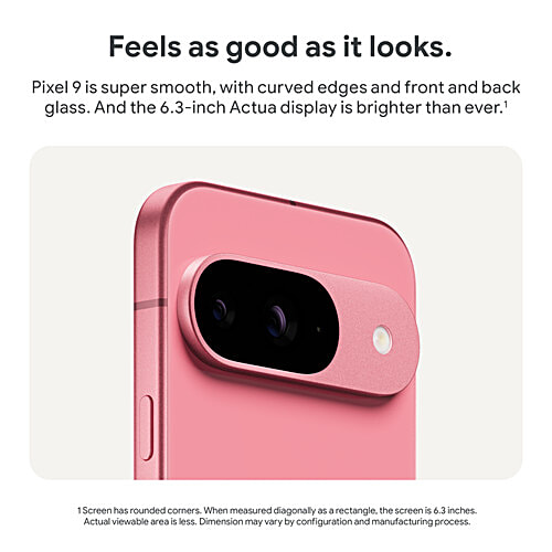 Google Pixel 9 5G (12GB RAM, 256GB, Wintergreen), 1 Unit  