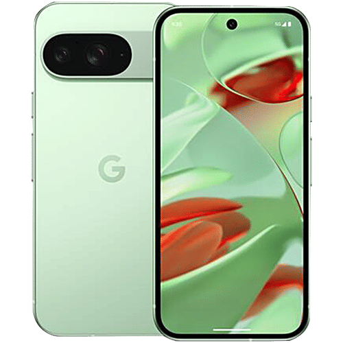 Google Pixel 9 5G (12GB RAM, 256GB, Wintergreen), 1 Unit  