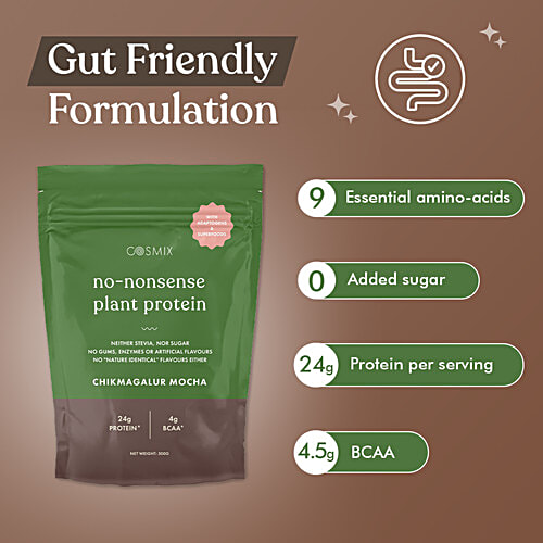 Cosmix No Nonsense Plant Protein Supplement - Chikmagalur Mocha, 500 g  