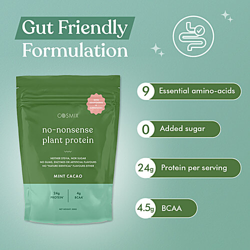 Cosmix No Nonsense Plant Protein Supplement - Mint Cacao, 500 g Gut Friendly Formulation