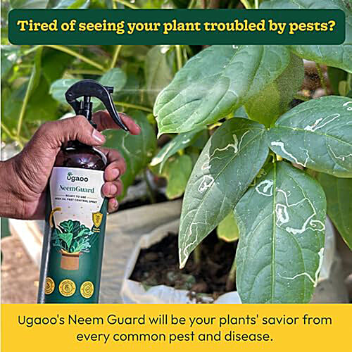 Ugaoo Neem Guard Ready To Use Neem Oil Pest Control Spray, 500 ml