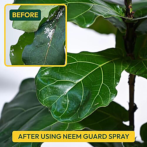 Ugaoo Neem Guard Ready To Use Neem Oil Pest Control Spray, 500 ml