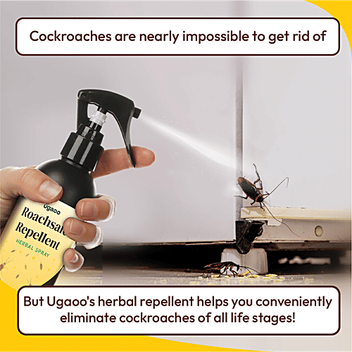 Ugaoo Roachsafe Repellent Herbal Spray, 200 ml  
