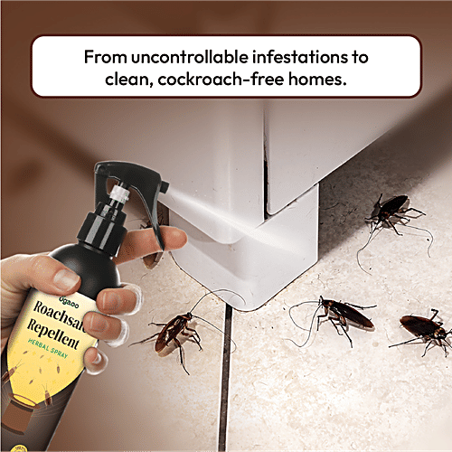 Ugaoo Roachsafe Repellent Herbal Spray, 200 ml  