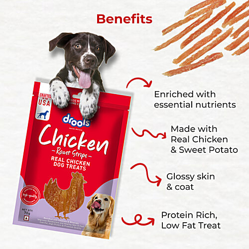 Drools Roast Strips Real Chicken Dog Treats, 70 g Enriched with Vitamins & Minerals, Improves Metabolism and Healthy Skin & Coat, Low Fat, High Protein