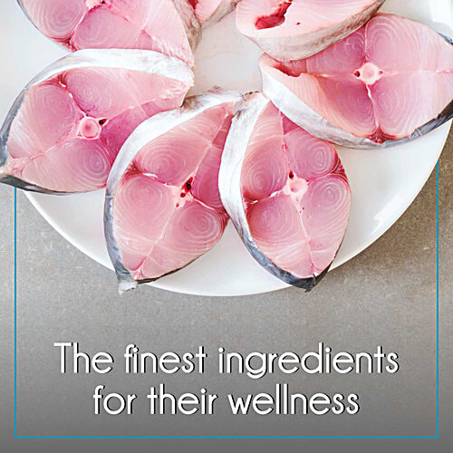 Purepet Ocean Fish Dry Kitten Food - Complete Nutrition, 30 g  Taurine For Healthy Heart, Healthy Skin & Beautiful Coat, Control Urinary pH, Hair Ball Protection