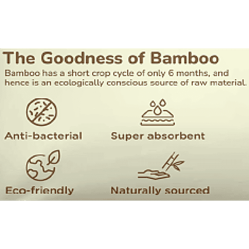 .allter Organic Bamboo Diaper Pants - XL, 16+ kgs, 22 pcs Organic, Comfort fit, Chemical Free, Slip On