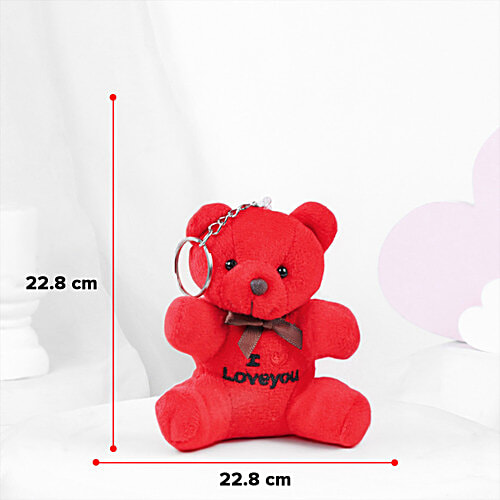 FNP Hugs & Blooms Valentine's Day Gift Hamper, 3 pcs  